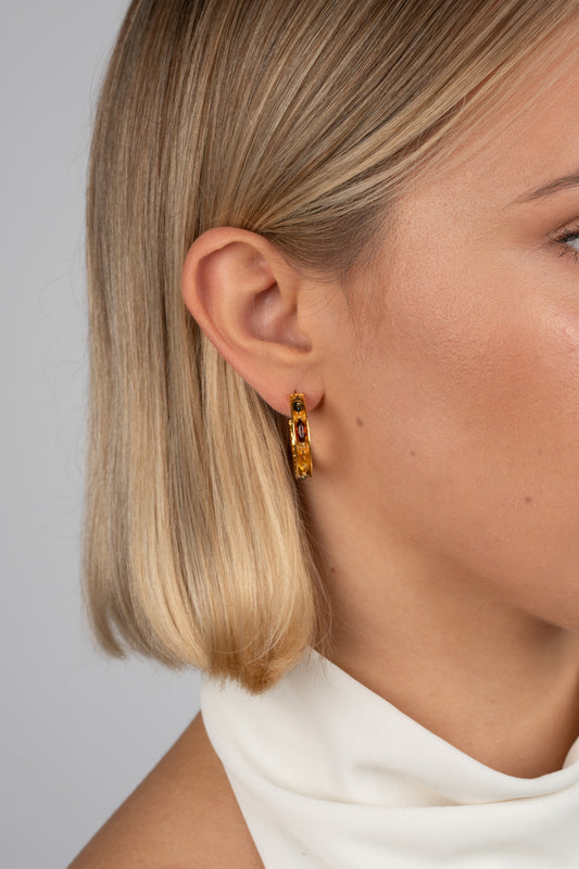 Paauksuoti Įvairių Spalvų Gintariniai Auskarai „Clavis Naturae“