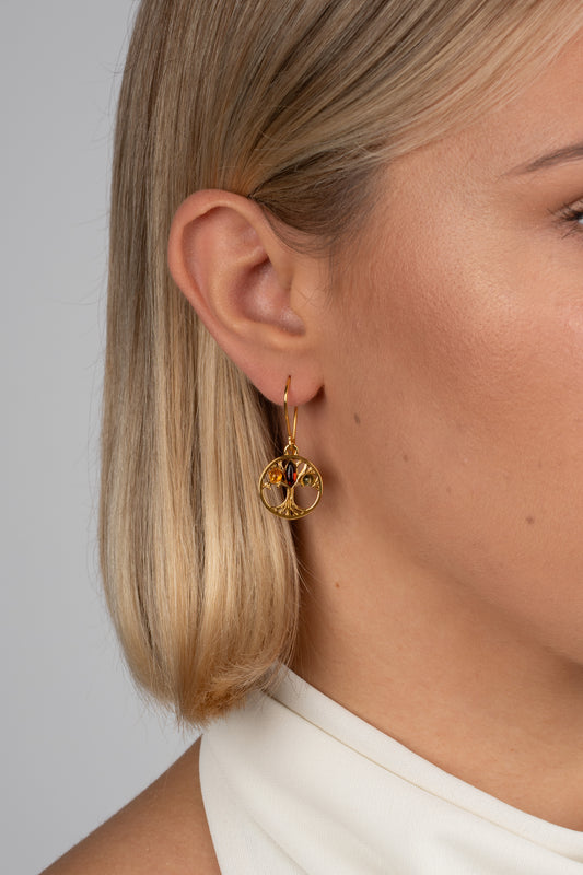 Paauksuoti gintariniai auskarai su įvairiaspalviu gintaru „Regnum Naturae“