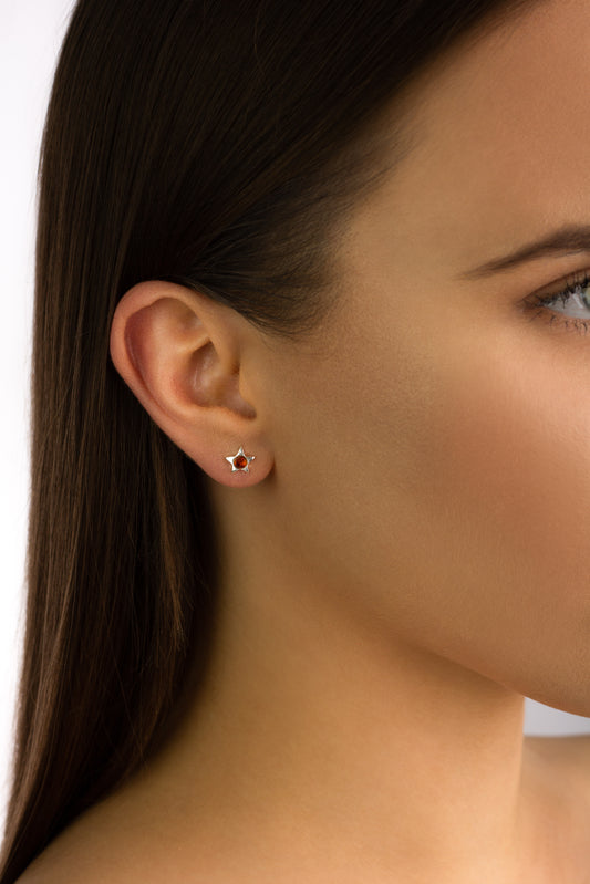 Sidabro gintariniai auskarai su medaus gintaru „Stella Lucis“