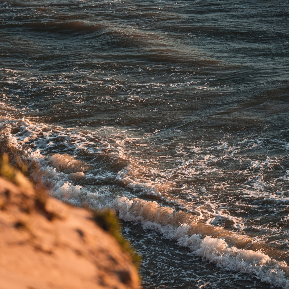 Baltic Amber: Everything You Need to Know About the Gold of the Baltics